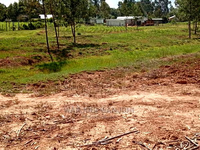 Grab a Prime Plot in Nyandarua - Image 1