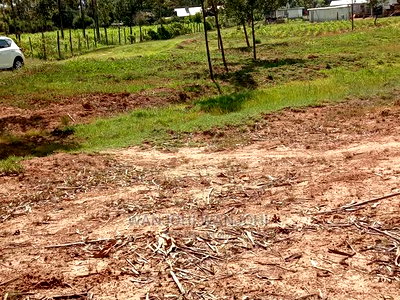 Grab a Prime Plot in Nyandarua - Image 2