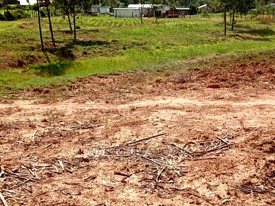 Grab a Prime Plot in Nyandarua - Image 3