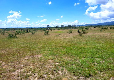 1.4 Acres Ndovoini Land