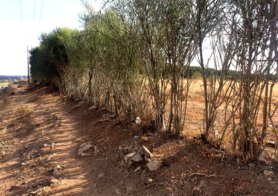 1 Acre Commercial Land in Kiambu