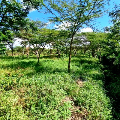 5bdrm Maisonette in Oloirien, Oloosirkon/Sholinke for sale - Image 10