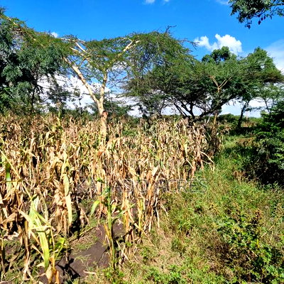 5bdrm Maisonette in Oloirien, Oloosirkon/Sholinke for sale - Image 8