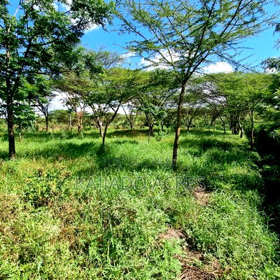 5bdrm Maisonette in Oloirien, Oloosirkon/Sholinke for sale - Image 7