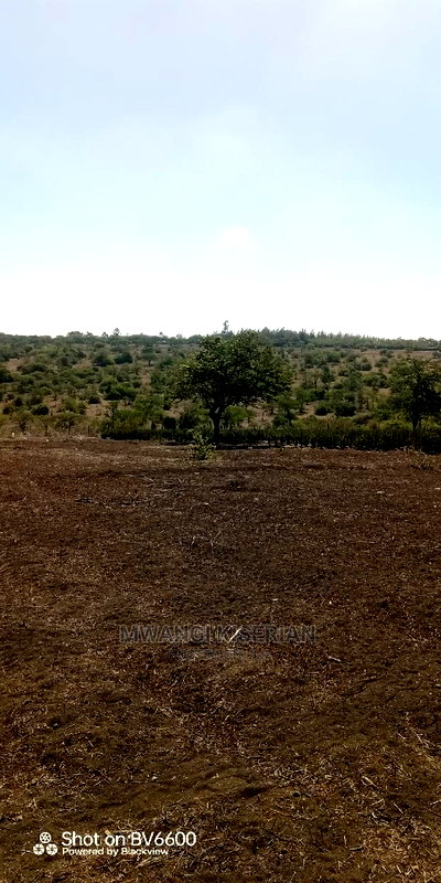 2acres in Kiserian for Quick Sale - Image 2