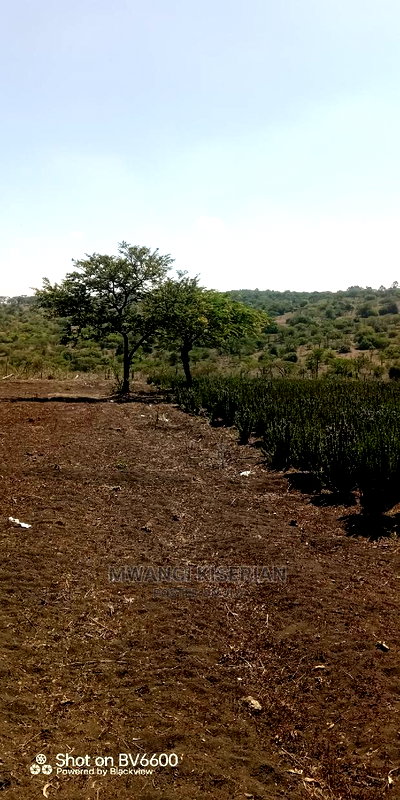 2acres in Kiserian for Quick Sale - Image 12