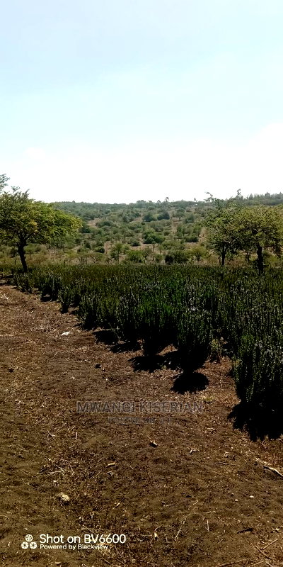 2acres in Kiserian for Quick Sale - Image 13