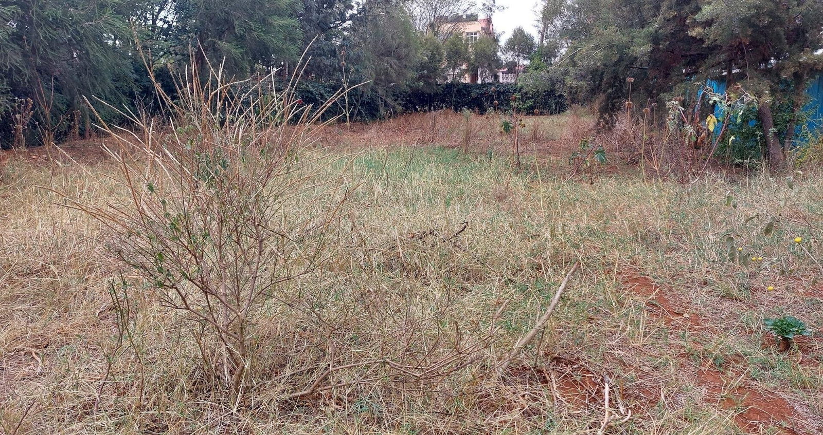 Garden Quarter Acre in Ngong