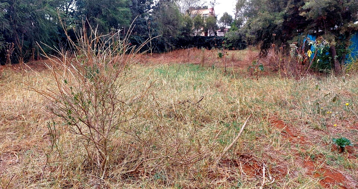 Garden Quarter Acre in Ngong