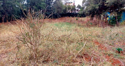 Garden Quarter Acre in Ngong