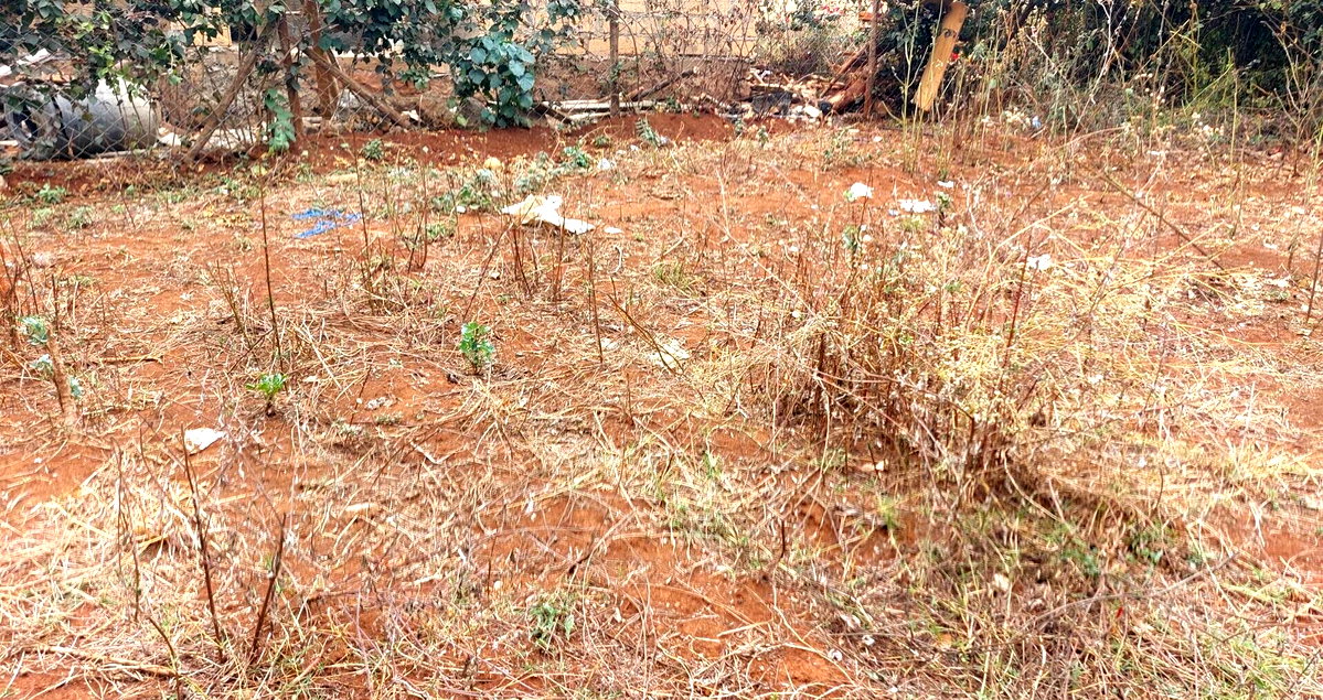 Garden Quarter Acre in Ngong