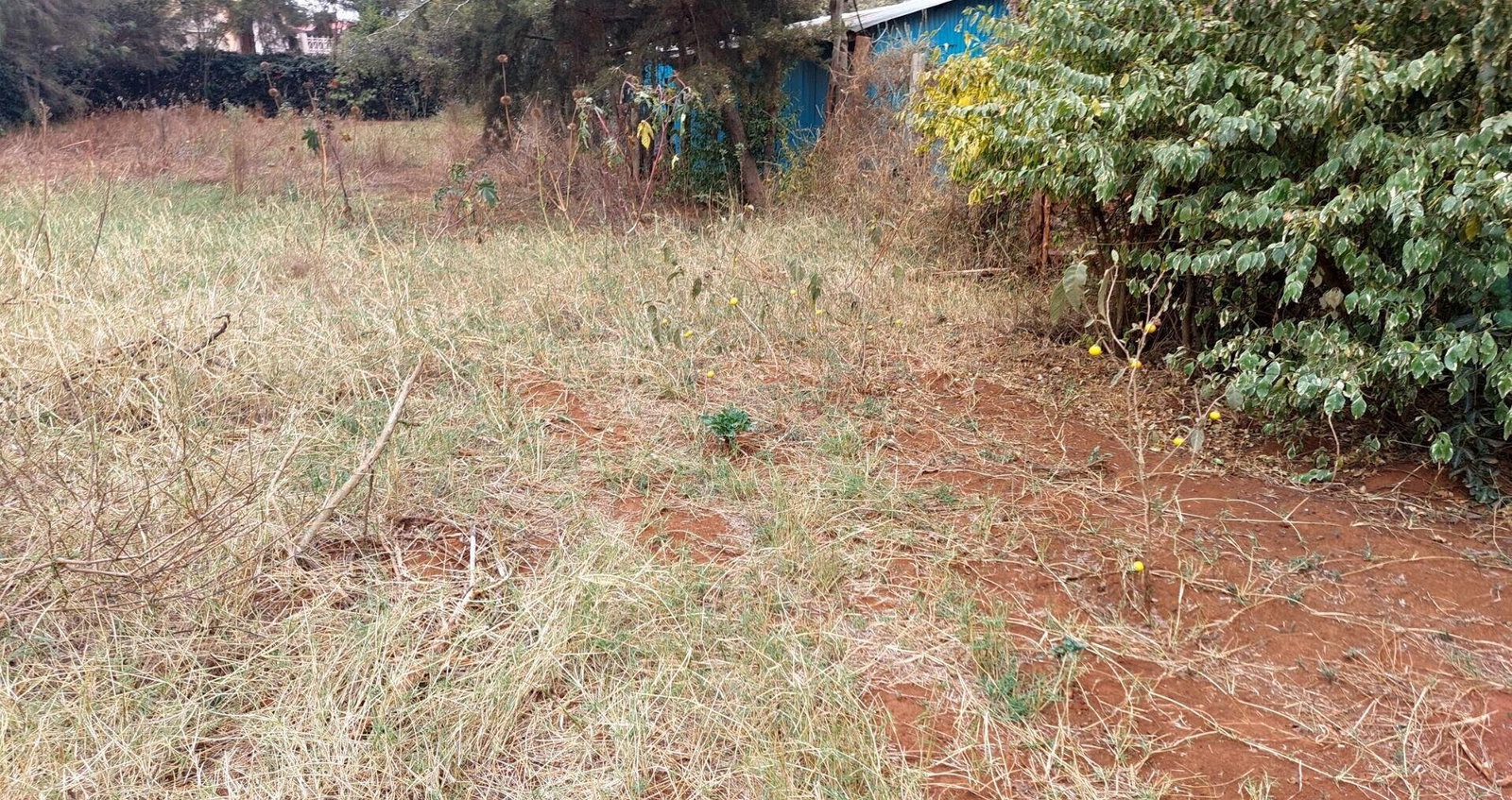 Garden Quarter Acre in Ngong
