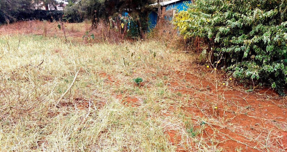 Garden Quarter Acre in Ngong