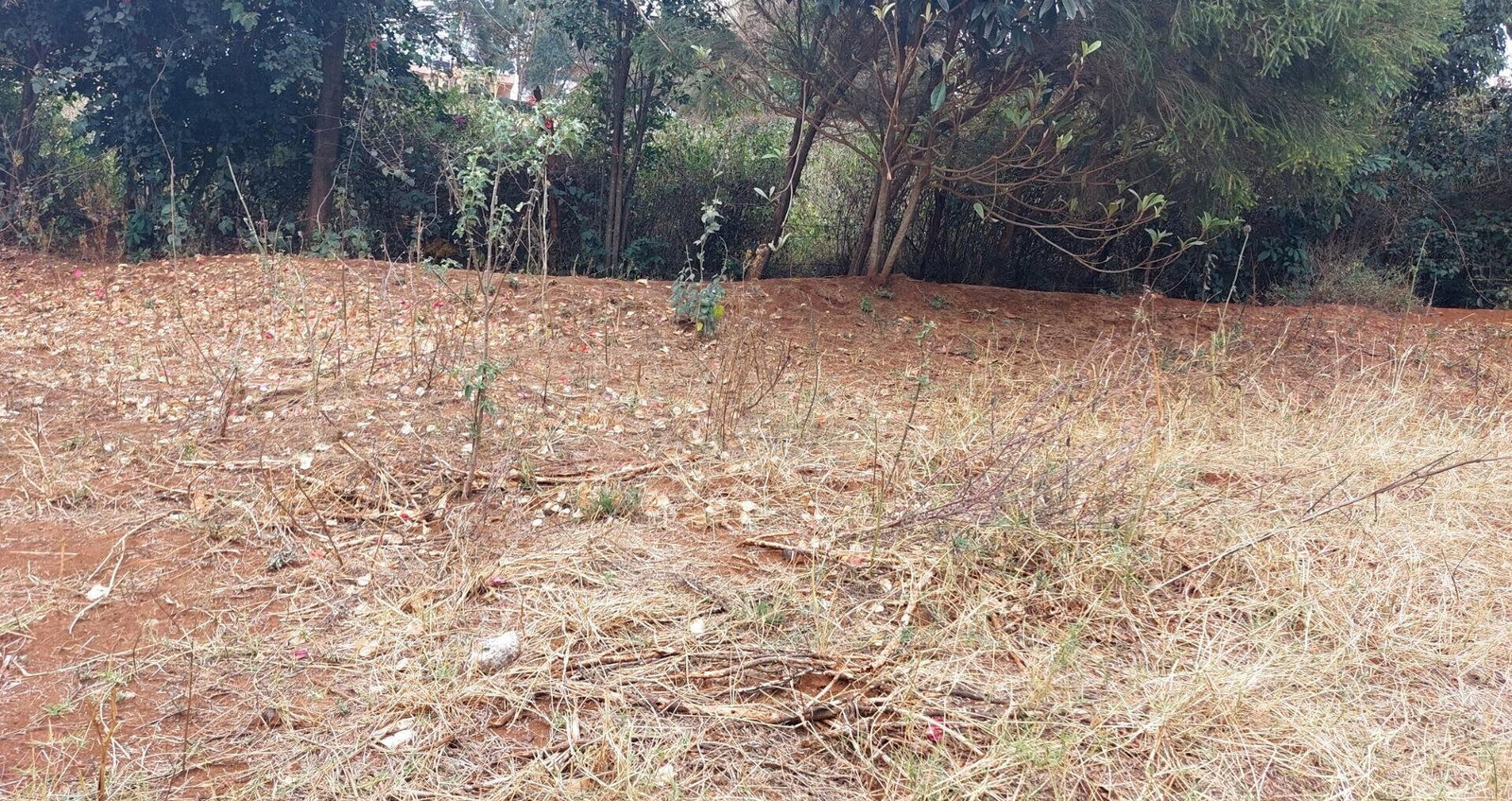 Garden Quarter Acre in Ngong