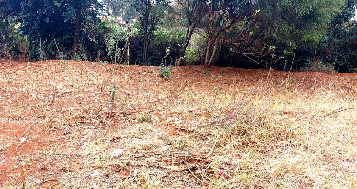 Garden Quarter Acre in Ngong