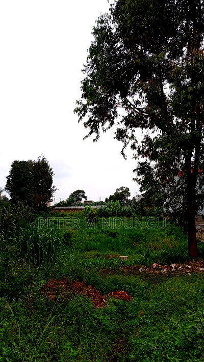 Prime One Acre Kiambu Road - Image 10