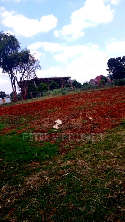 Ridgeways Prime Residential 1/2 Acre on Sale - Image 4