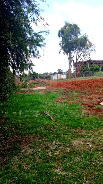 Ridgeways Prime Residential 1/2 Acre on Sale - Image 7