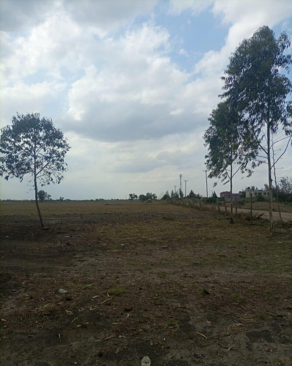 50-Acre Land with Ready Title