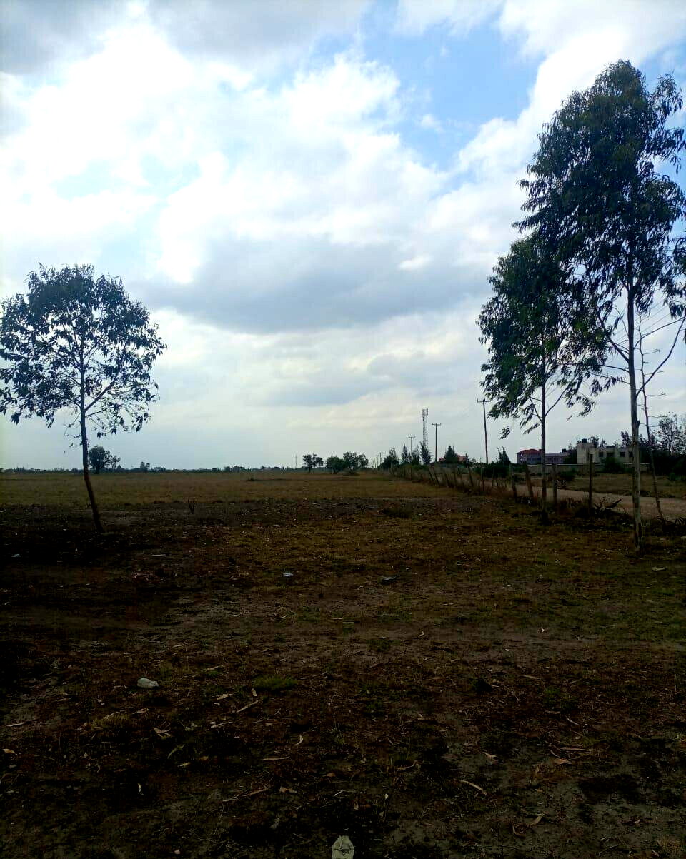 50-Acre Land with Ready Title