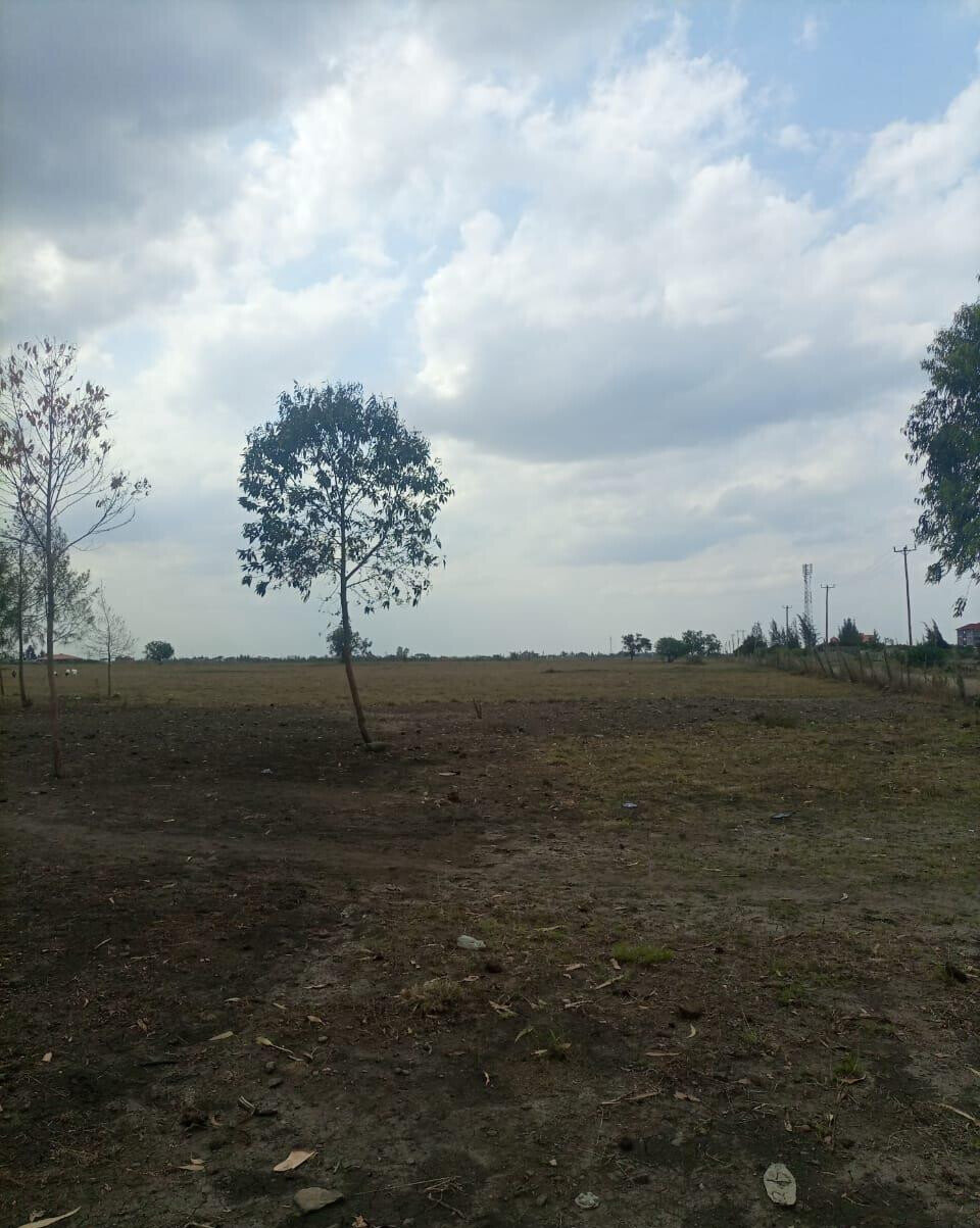 50-Acre Land with Ready Title