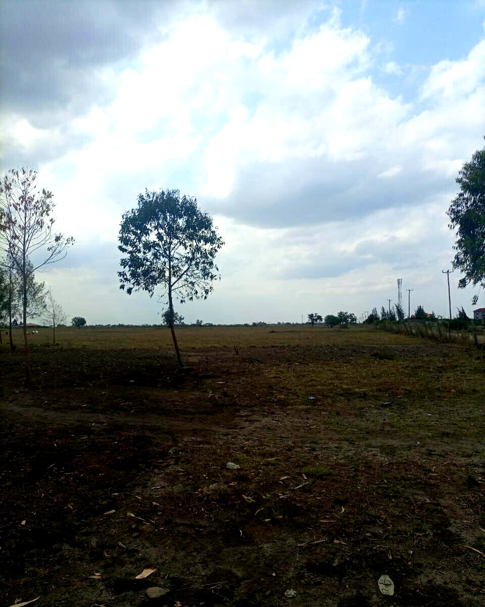 50-Acre Land with Ready Title