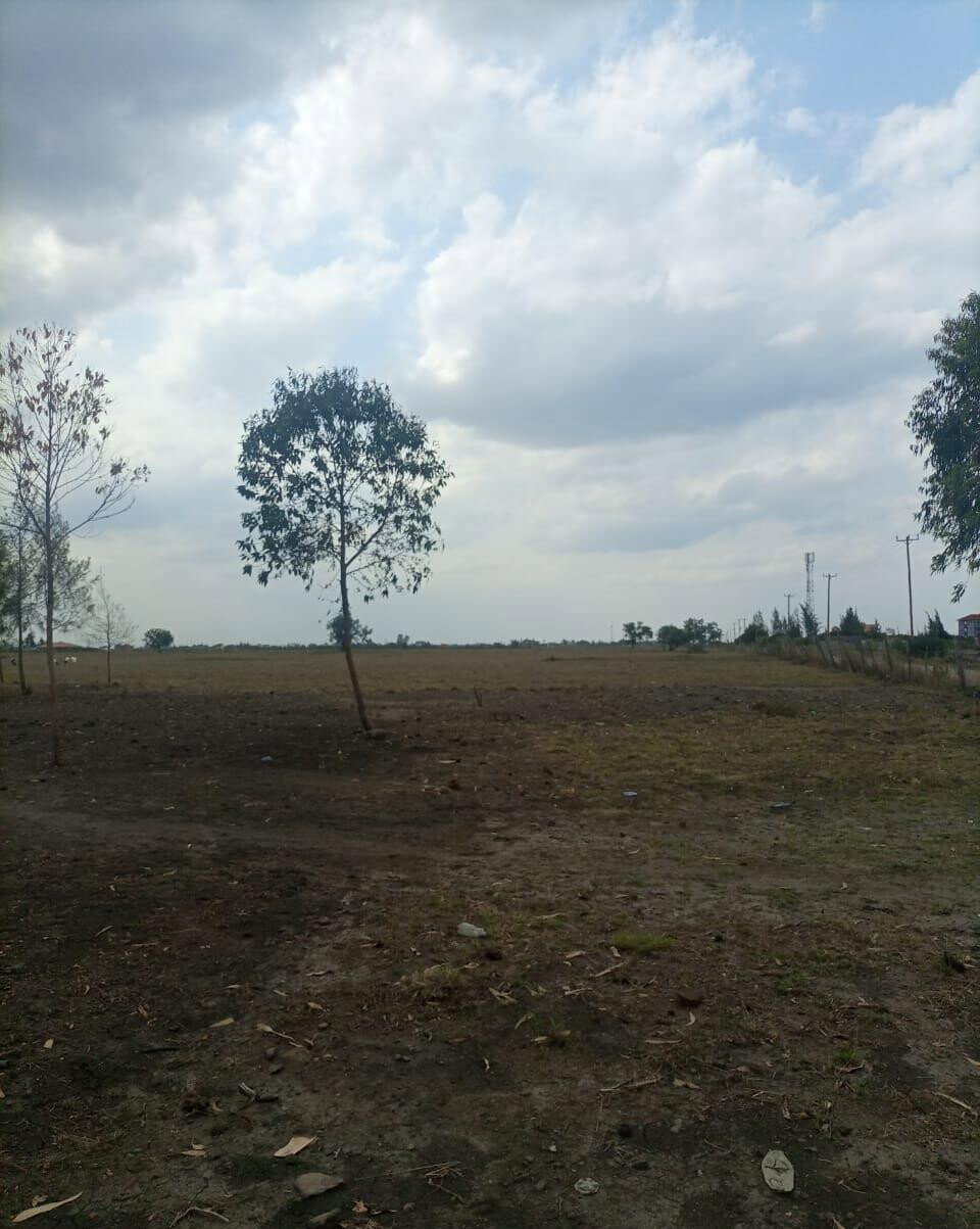 50-Acre Land with Ready Title