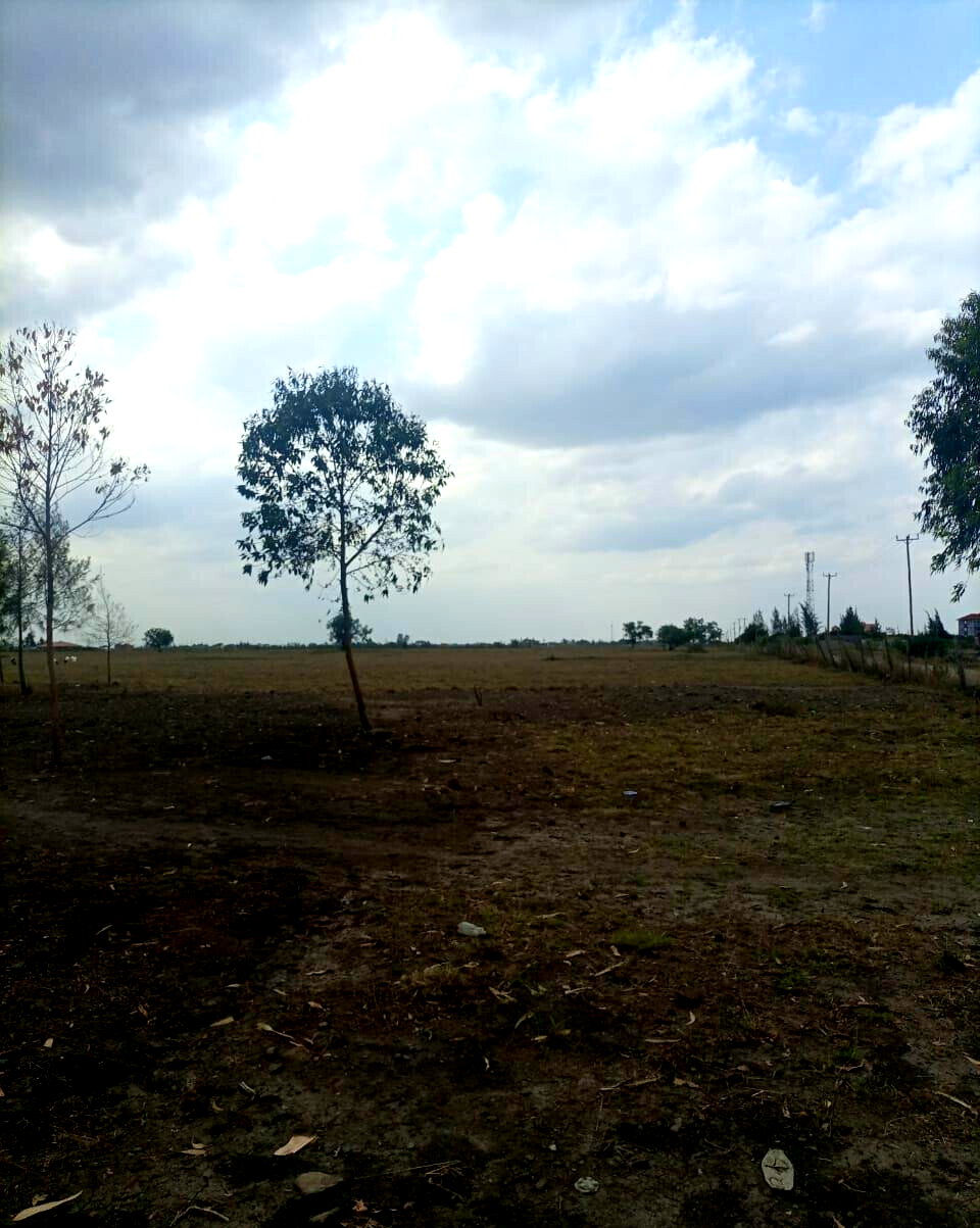 50-Acre Land with Ready Title