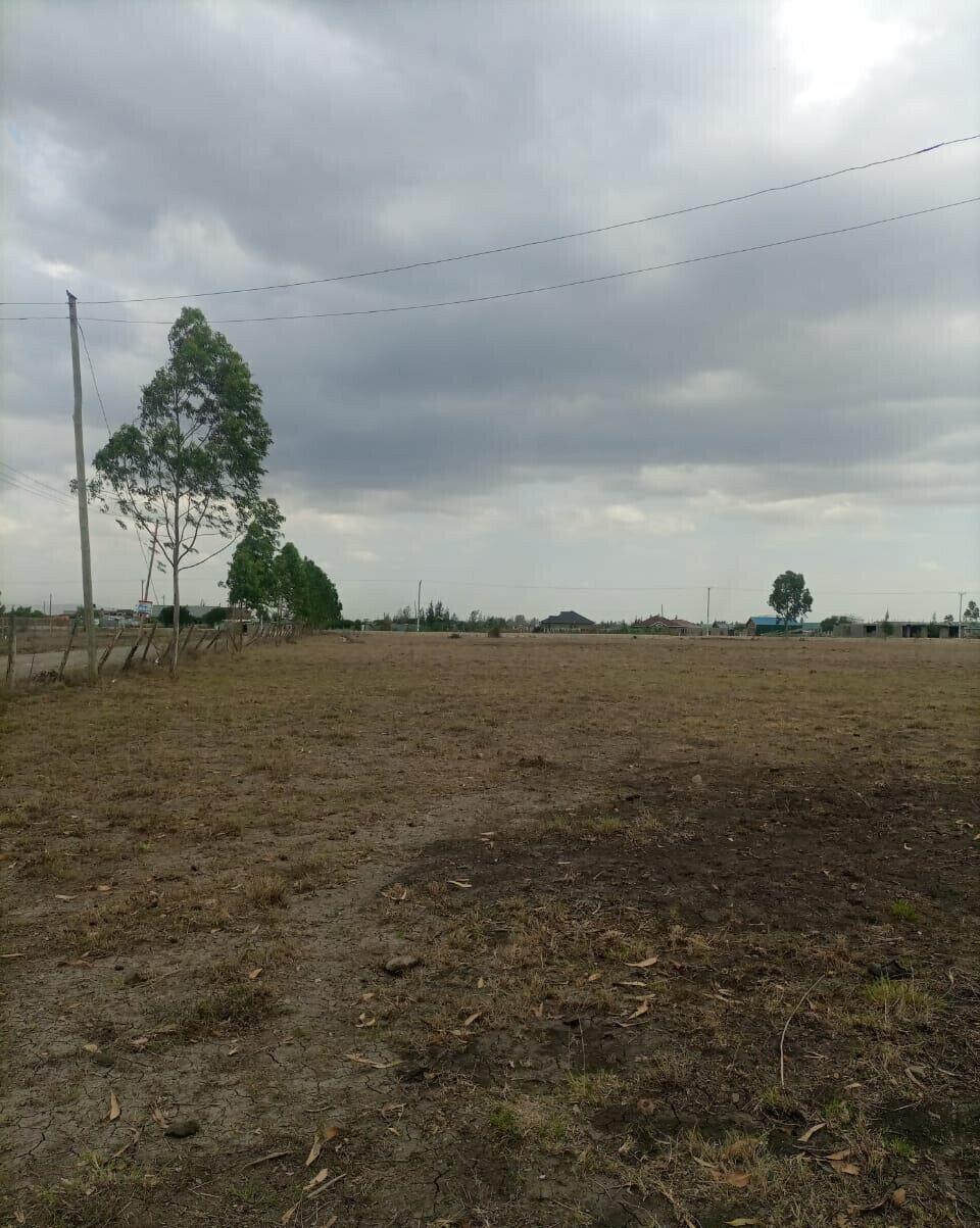 50-Acre Land with Ready Title