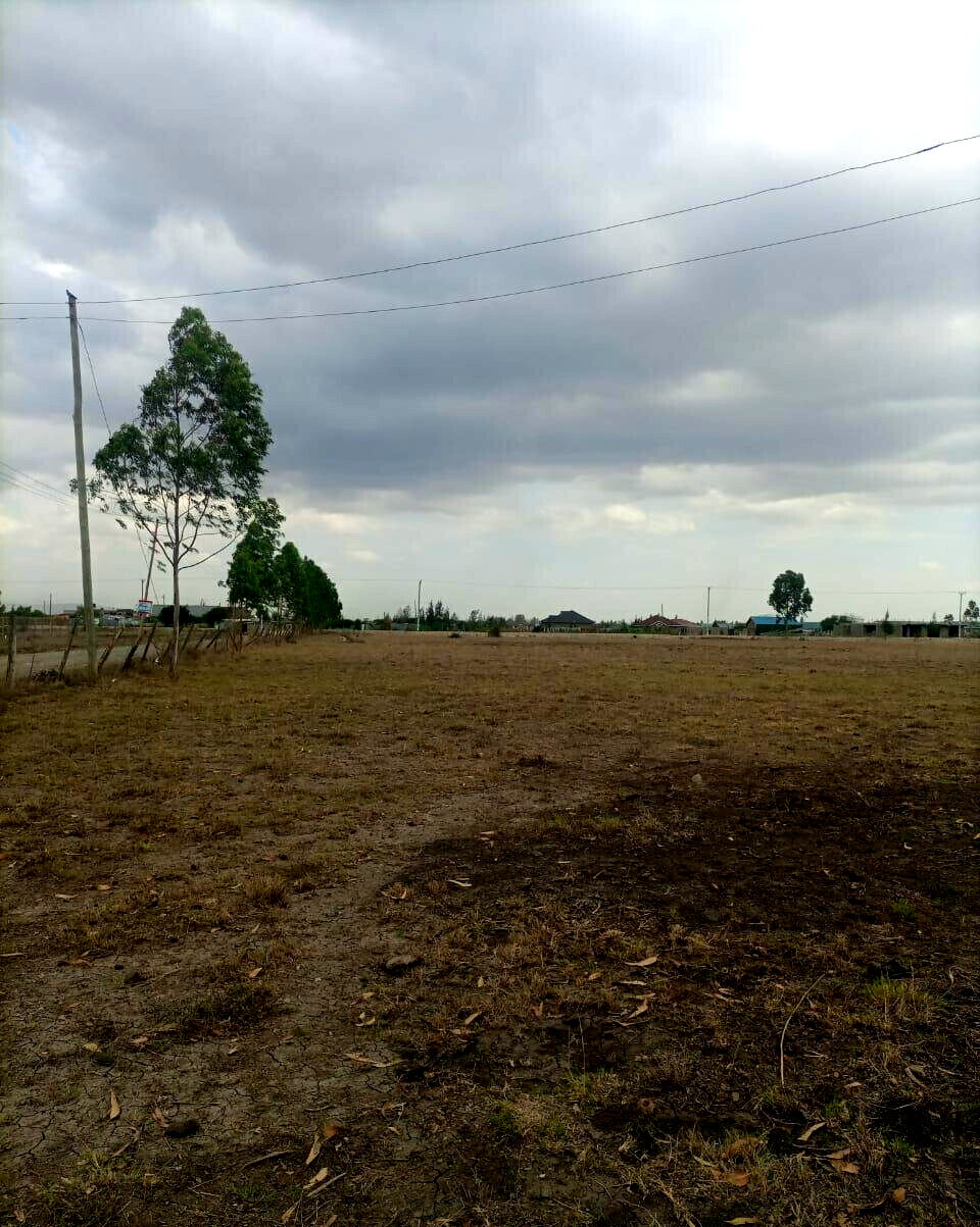 50-Acre Land with Ready Title