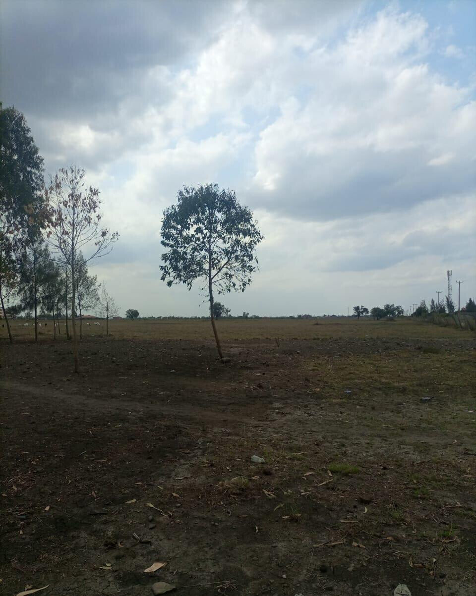 50-Acre Land with Ready Title