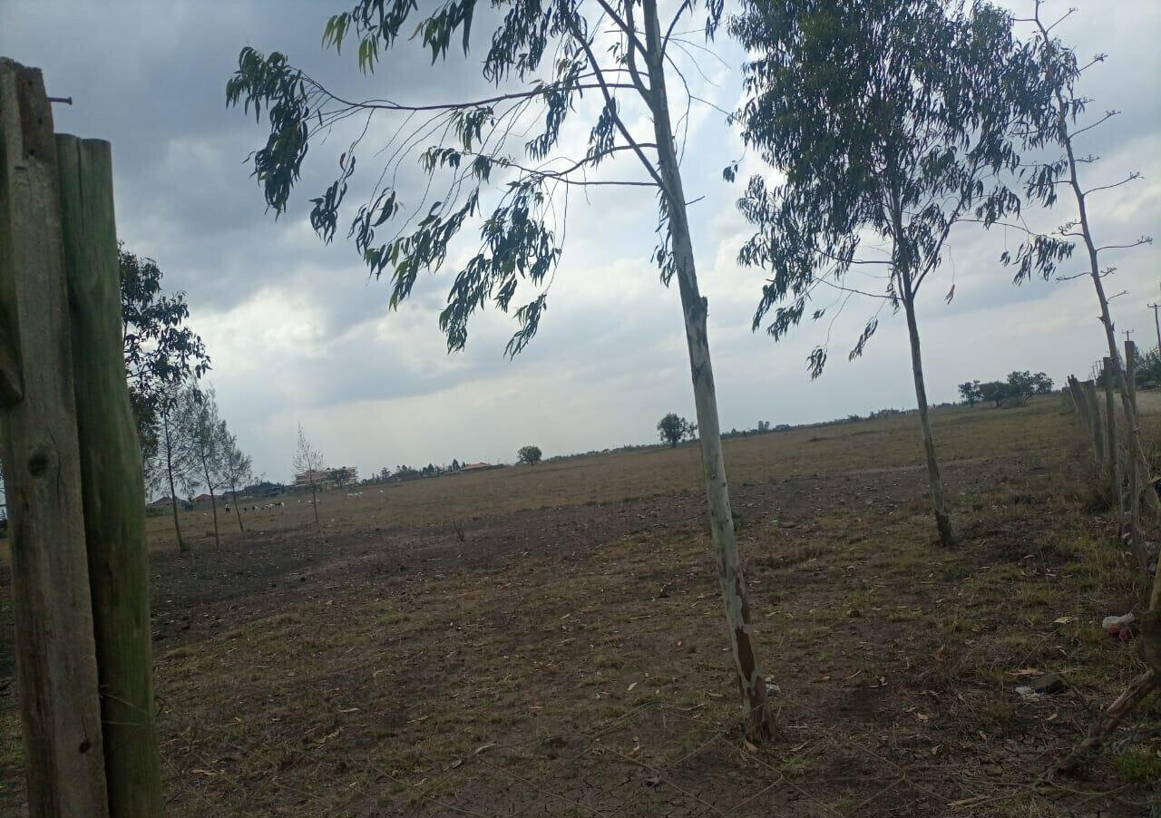50-Acre Land with Ready Title
