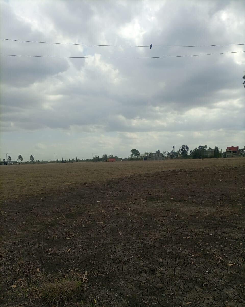 50-Acre Land with Ready Title
