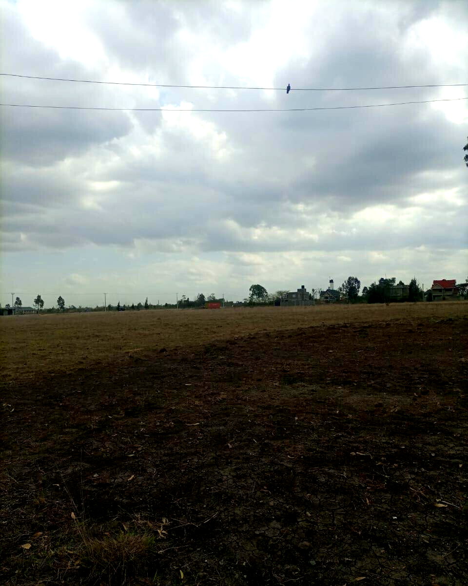 50-Acre Land with Ready Title