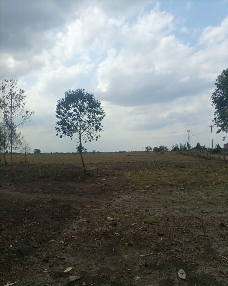 50-Acre Land with Ready Title