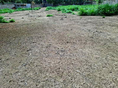 Land for Sale Fronting Eastern Bypass - Image 3