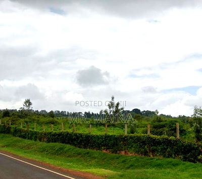 Prime 500 Acres Agricultural Land in Makuyu - Image 3