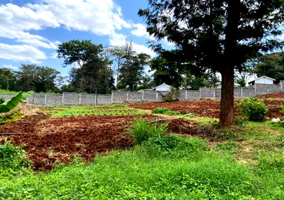 Quarter Acre Plot with Garden at KSh 18M