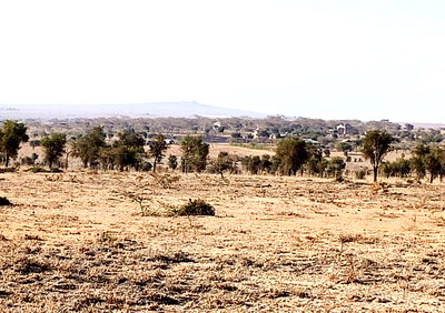 50x100 Plot for KSh 800K