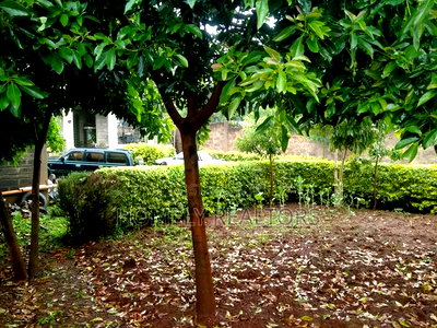 5bdrm Maisonette in Ngong, Vet Hill Top for sale - Image 5