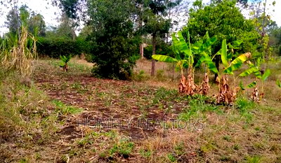 Residential Quarter Acre in Ongata Rongai, Nkoroi. Red Soil - Image 1