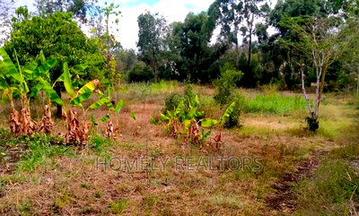 Residential Quarter Acre in Ongata Rongai, Nkoroi. Red Soil - Image 2