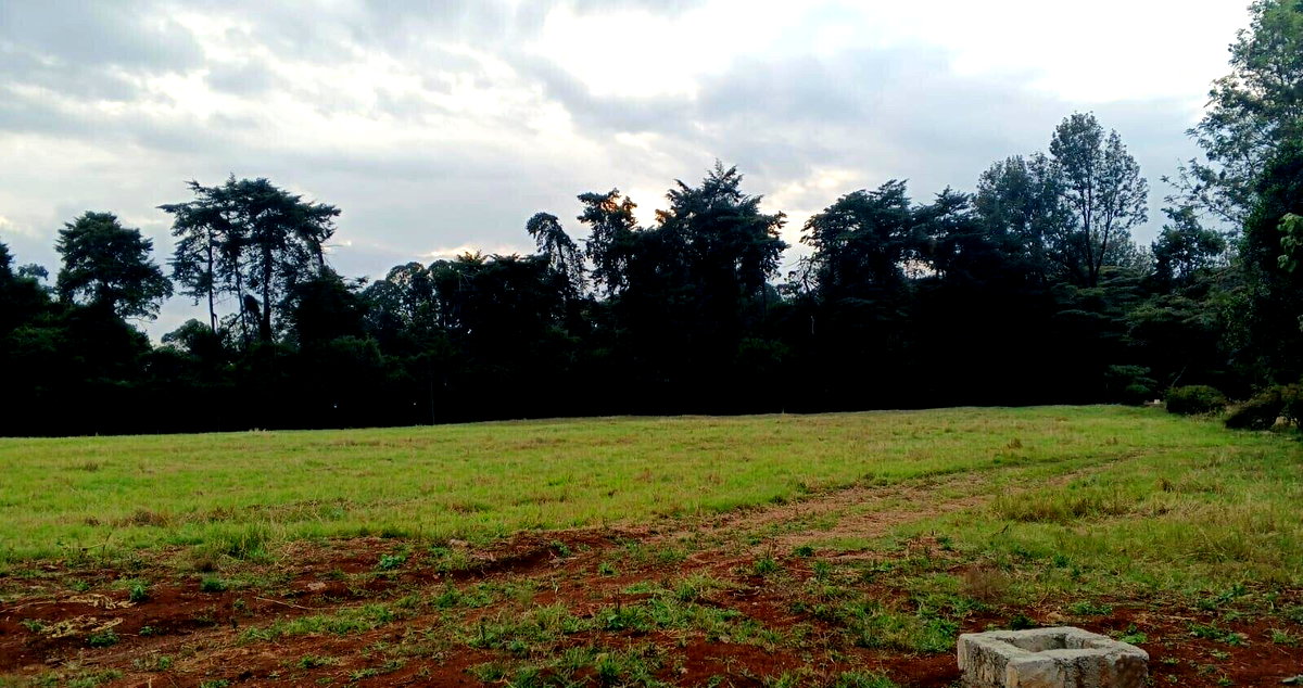 5-Bed Townhouse on Half-Acre in Gated Community – Karen Ololua