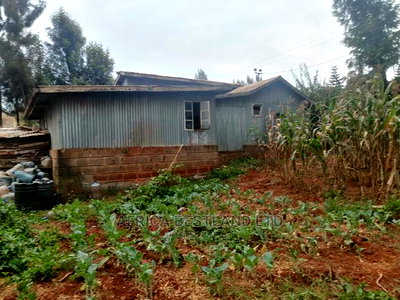 100x100 Ft Plot for Sale in Ondiri Kwa Jadi - Image 5