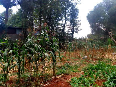 100x100 Ft Plot for Sale in Ondiri Kwa Jadi - Image 2