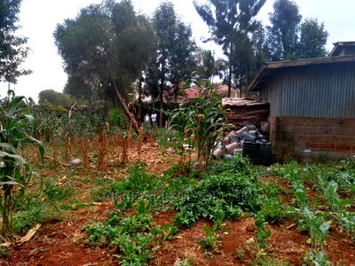 100x100 Ft Plot for Sale in Ondiri Kwa Jadi - Image 3