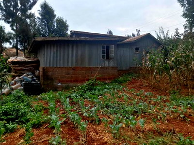 100x100 Ft Plot for Sale in Ondiri Kwa Jadi - Image 4