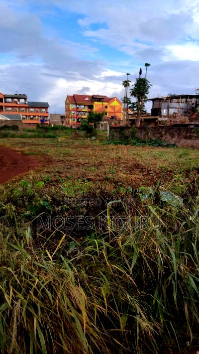 Thika Nanasi Estate 40x80 Plots. - Image 5