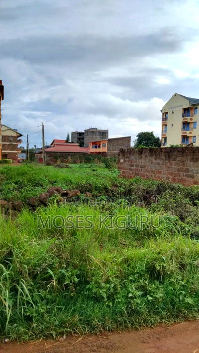 Thika Nanasi Estate 40x80 Plots. - Image 3