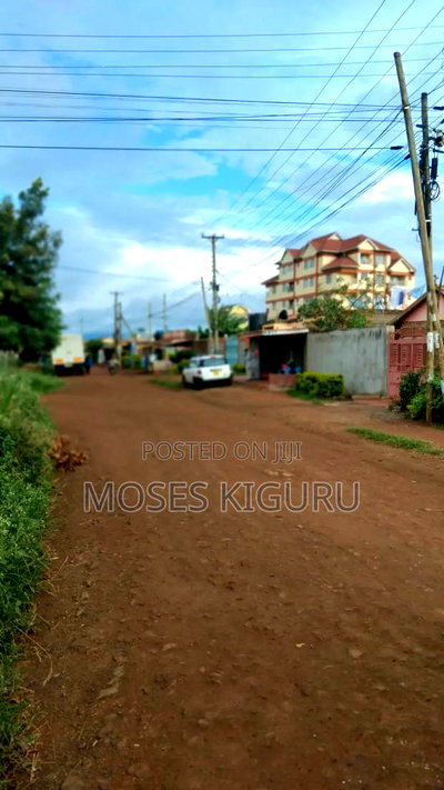 Thika Nanasi Estate 40x80 Plots. - Image 8